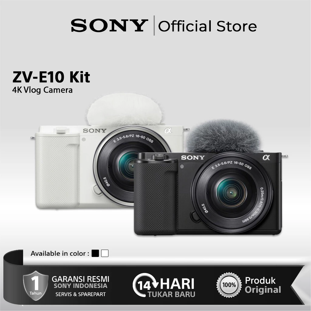 Sony ZV-E10